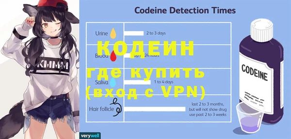 дживик Богородск