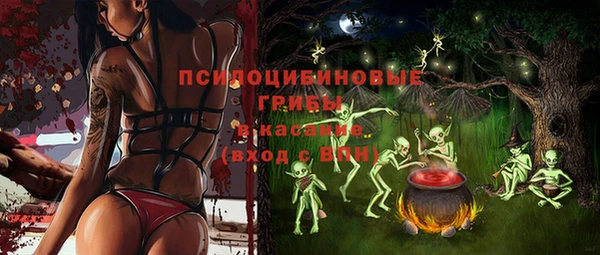 не бодяженный Богородицк