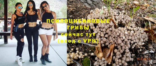 прущая мука Богданович