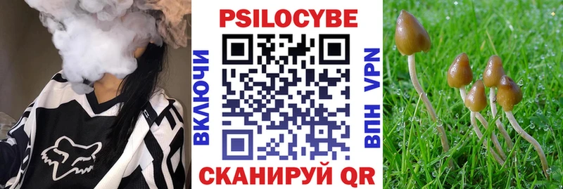 Галлюциногенные грибы мухоморы  Приволжский 